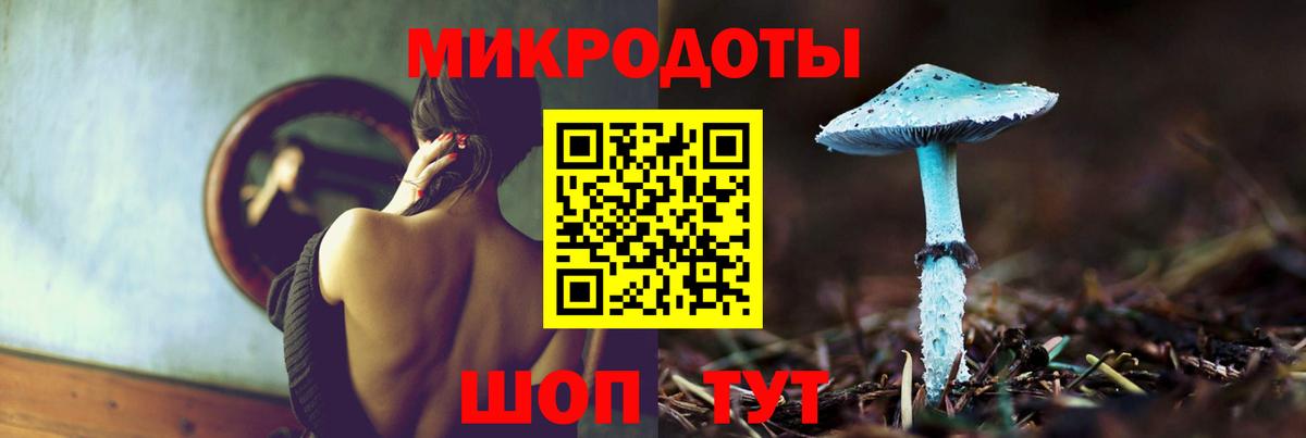 Псилоцибиновые грибы Cubensis Горячий Ключ