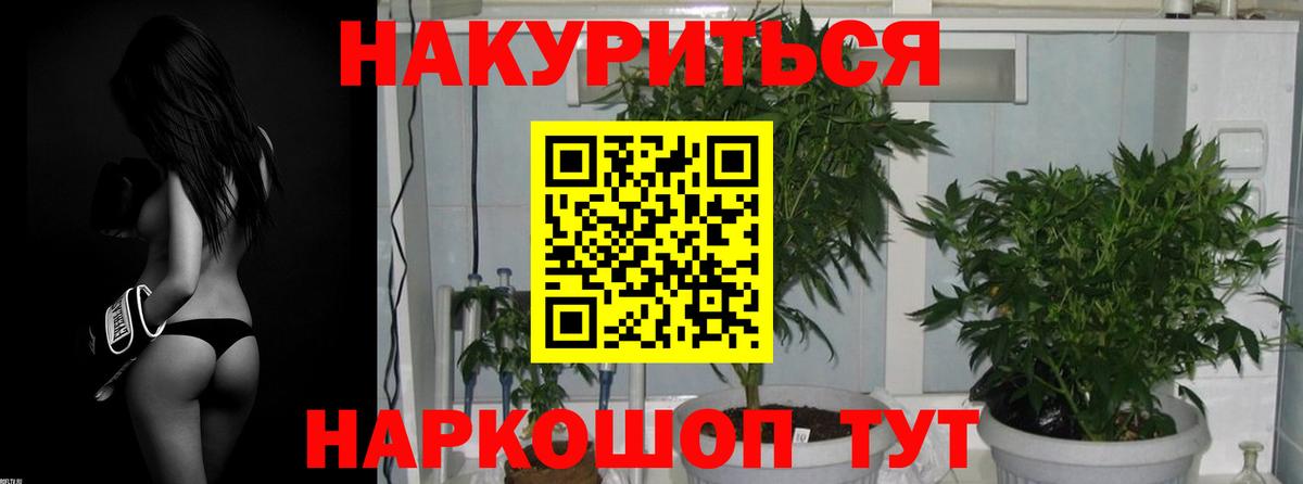 Шишки марихуана план Горячий Ключ